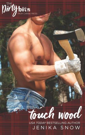 Cover of the book Touch Wood by Lisa Marie Rice