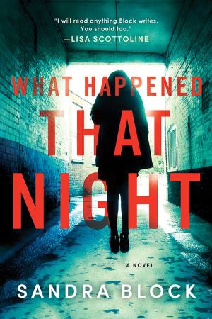 Cover of the book What Happened That Night by Amelia Grey
