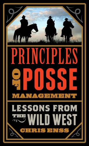 bigCover of the book Principles of Posse Management by 
