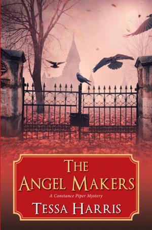 bigCover of the book The Angel Makers by 