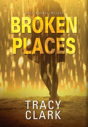 Cover of the book Broken Places by Leslie Meier