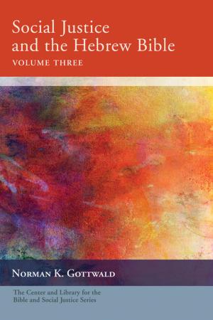 bigCover of the book Social Justice and the Hebrew Bible, Volume Three by 