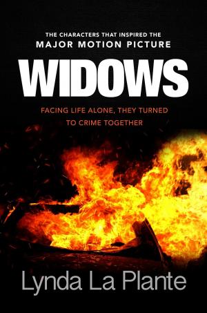 Cover of the book Widows by CJ Carver
