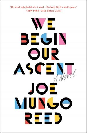 Cover of the book We Begin Our Ascent by Amy Poeppel