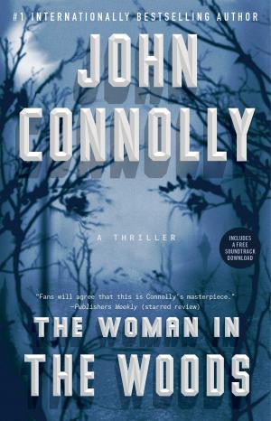 bigCover of the book The Woman in the Woods by 