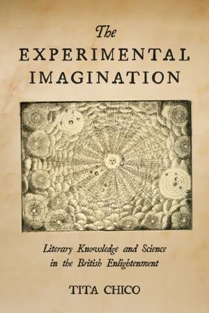 Cover of the book The Experimental Imagination by Sheldon M. Stern