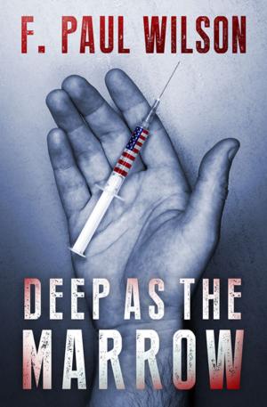 Cover of the book Deep as the Marrow by Patrick Mehfoud