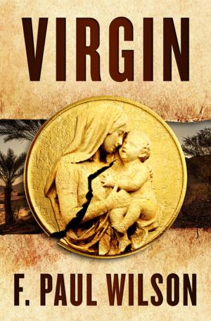 Cover of the book Virgin by Jacqueline Steel