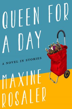 Cover of the book Queen for a Day by Christopher New