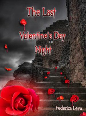 Cover of the book The Last Valentine's Day Night by Melita Joy