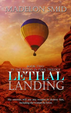 Cover of the book Lethal Landing by Nicolette Pierce