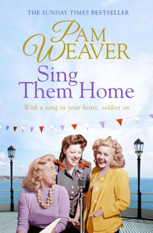 Cover of the book Sing Them Home by Claire Richards