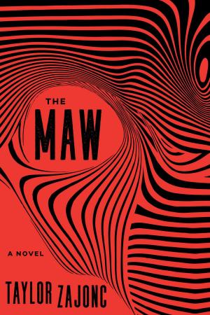 Cover of the book The Maw by Farnoosh Brock
