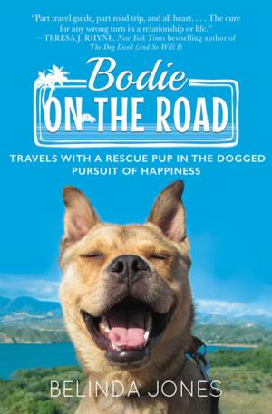 Cover of the book Bodie on the Road by Lynn Stegner