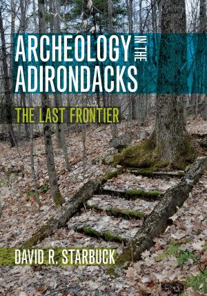 Cover of the book Archeology in the Adirondacks by Todd McLeish