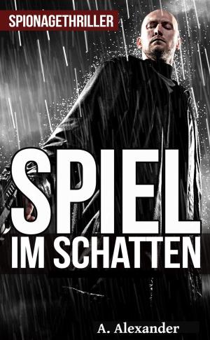 Book cover of Spiel im Schatten: Spionagethriller