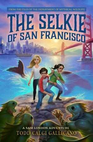 Cover of the book The Selkie of San Francisco by Gary Paulsen