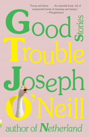 Cover of the book Good Trouble by Elisha Waldman
