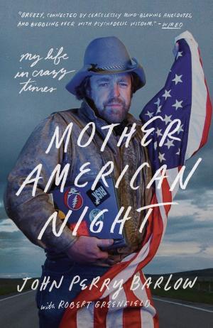 Cover of the book Mother American Night by Jean-Michel Molkhou