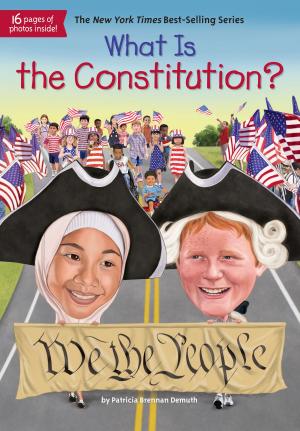 Book cover of What Is the Constitution?