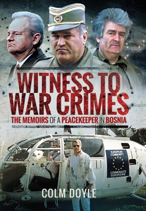 Cover of the book Witness to War Crimes by Robert Lyman