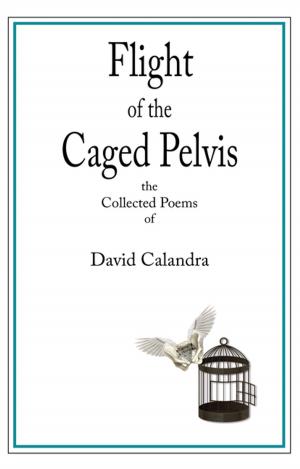 Cover of the book Flight of the Caged Pelvis by Gareth Roi Jones