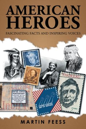 Cover of the book American Heroes by Carl J. Becker