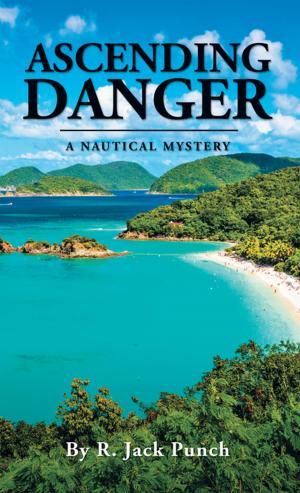 Cover of the book Ascending Danger by Mel Senator