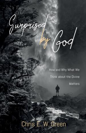 Cover of the book Surprised by God by Bradley Jersak, Nik Ansell