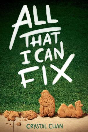 Cover of the book All That I Can Fix by Terra Elan McVoy