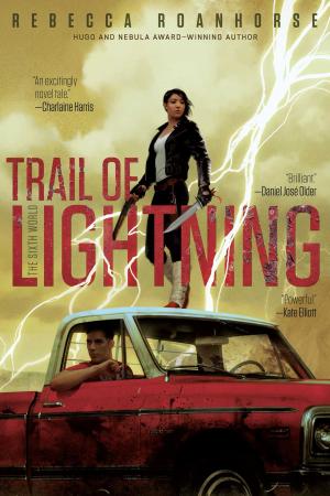 Cover of the book Trail of Lightning by E. A. Hennessy
