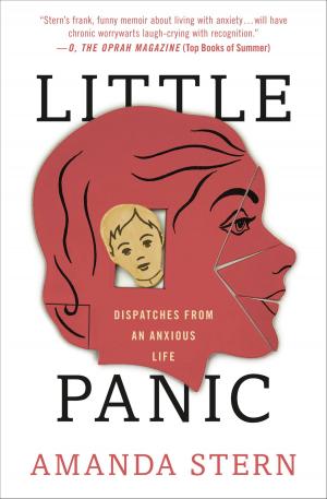 Cover of the book Little Panic by Gitty Daneshvari