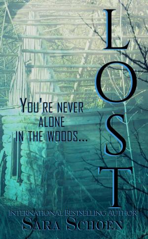 Cover of the book Lost by Erin Lee, M W Brown