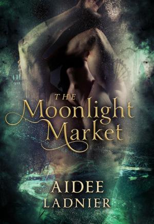 Book cover of The Moonlight Market