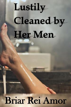 Cover of Lustily Cleaned by Her Men
