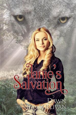 Cover of the book Janie's Salvation by Dawn Sullivan