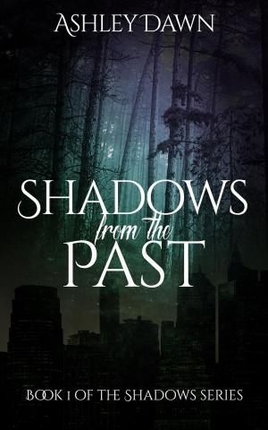 Cover of the book Shadows From The Past by Taro Shimizu