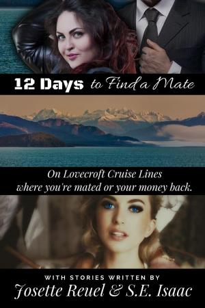 Cover of the book 12 Days to Find a Mate by Isabelle Haury