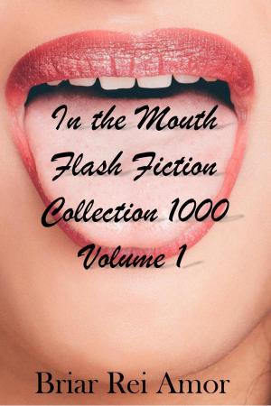 Cover of the book In the Mouth Flash Fiction Collection 1000 Volume 1 by Kelly McClymer