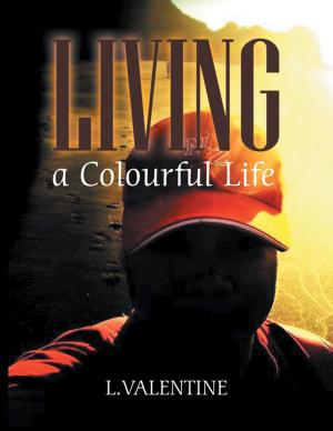 Cover of the book Living a Colourful Life by John Nordman
