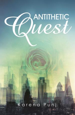Cover of the book Antithetic Quest by K. Mareet