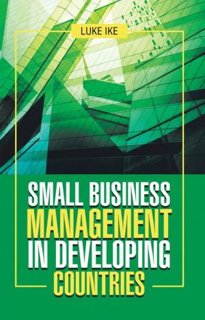 Cover of the book Small Business Management in Developing Countries by Kenneth Anueyiagu