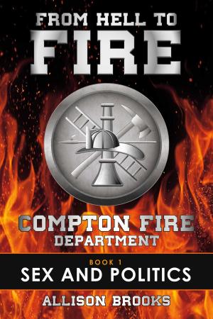 Cover of the book From Hell to Fire by Simonette Vaja