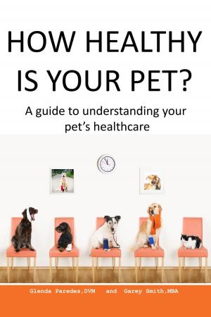 Cover of the book How Healthy Is Your Pet? by Col. Fernando Morote-Solari, Elsa-Sofia Morote, Patricia Bowens McCarthy
