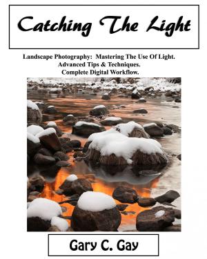 Cover of the book Catching the Light by Макс Друбинский