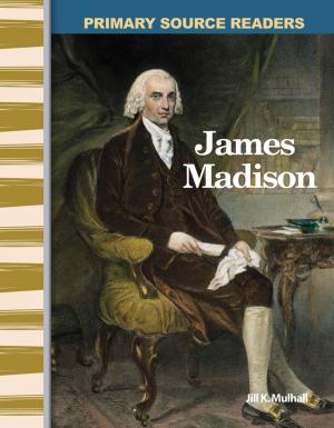 Cover of the book James Madison by William B. Rice