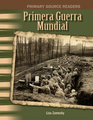 Book cover of Primera Guerra Mundial