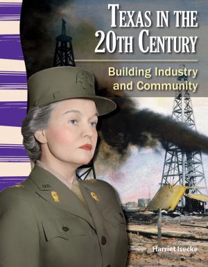 Book cover of Texas in the 20th Century: Building Industry and Community