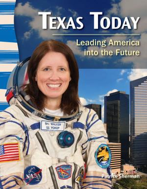 Book cover of Texas Today: Leading America into the Future