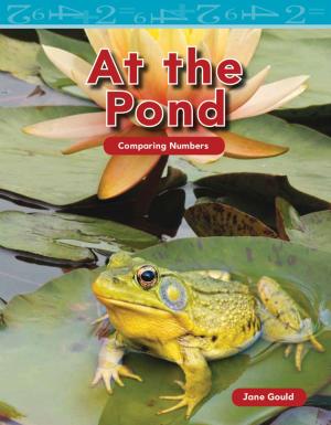 Cover of the book At the Pond by Sara A. Johnson